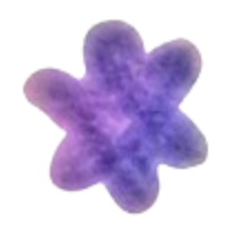 16*29